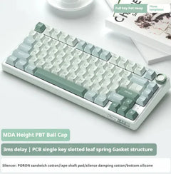 Wireless Mechanical Keyboard