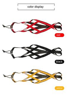 Dog Sled Harness